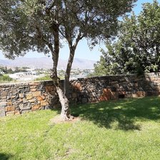 Схема вышивки «Дерево»