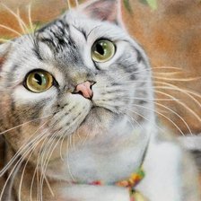 Схема вышивки «№2889545»