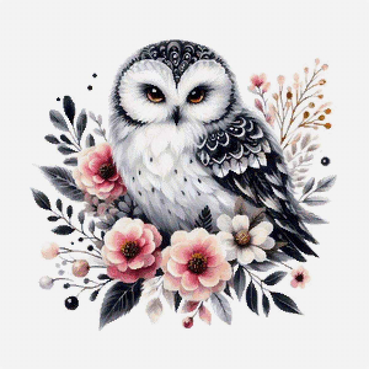 Сова - сова, птицы, животные - предпросмотр