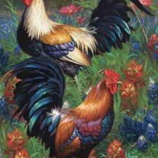 Схема вышивки «Петушки»