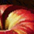 Предпросмотр схемы вышивки «Запретный плод.» (№2890481)