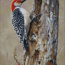 Схема вышивки «№2890814»