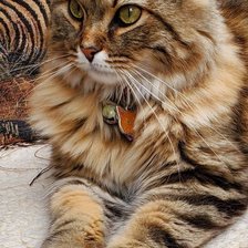 Схема вышивки «№2891003»