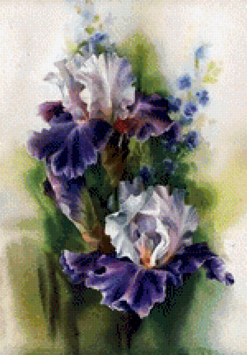 Ирисы - предпросмотр