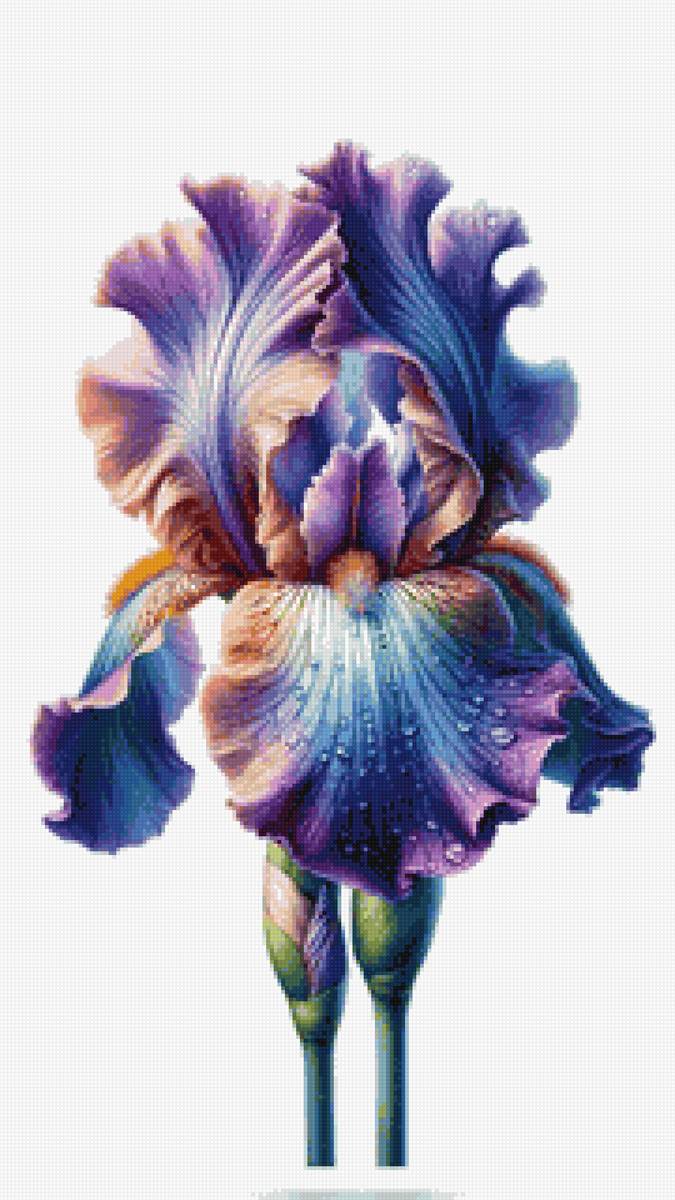 Ирис 2 - ирис - предпросмотр