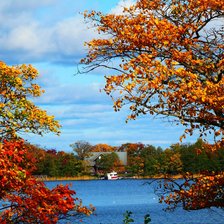 Схема вышивки «Осень»