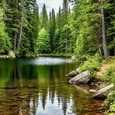 Схема вышивки «У ручья»