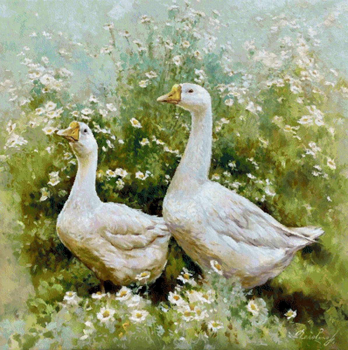 Гуси - цветы, гуси, лето - предпросмотр