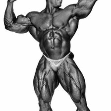 Схема вышивки «Спорт. Мотивация. Бодибилдинг»