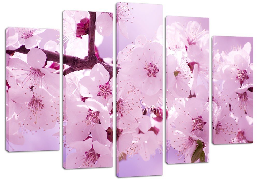 цветущая сакура - оригинал