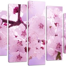 Схема вышивки «цветущая сакура»