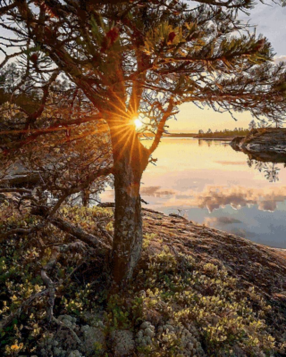 Загадочная Карелия - природа, фото, пейзаж - предпросмотр