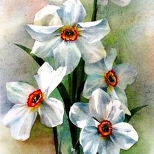 Схема вышивки «нарциссы»