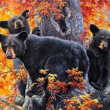 Схема вышивки «Медведи. Абрахам Хантер»