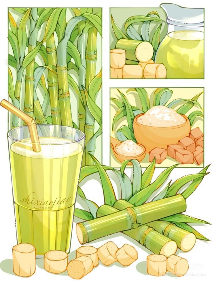 Бамбук - напиток, бамбук, чай, растение - оригинал