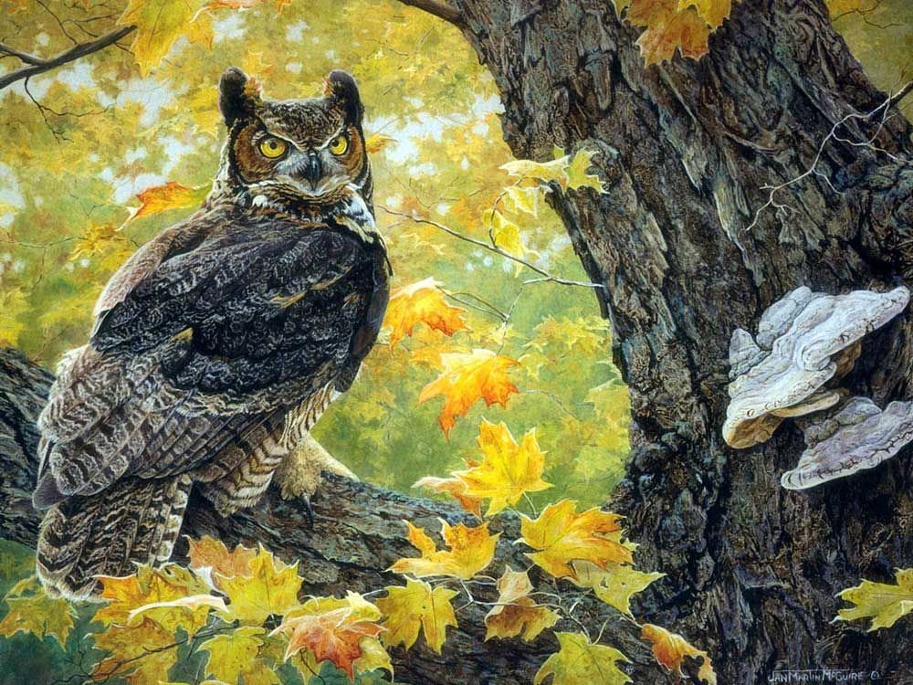 Сова - художники - оригинал