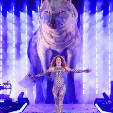 Схема вышивки «Shakira y su loba»