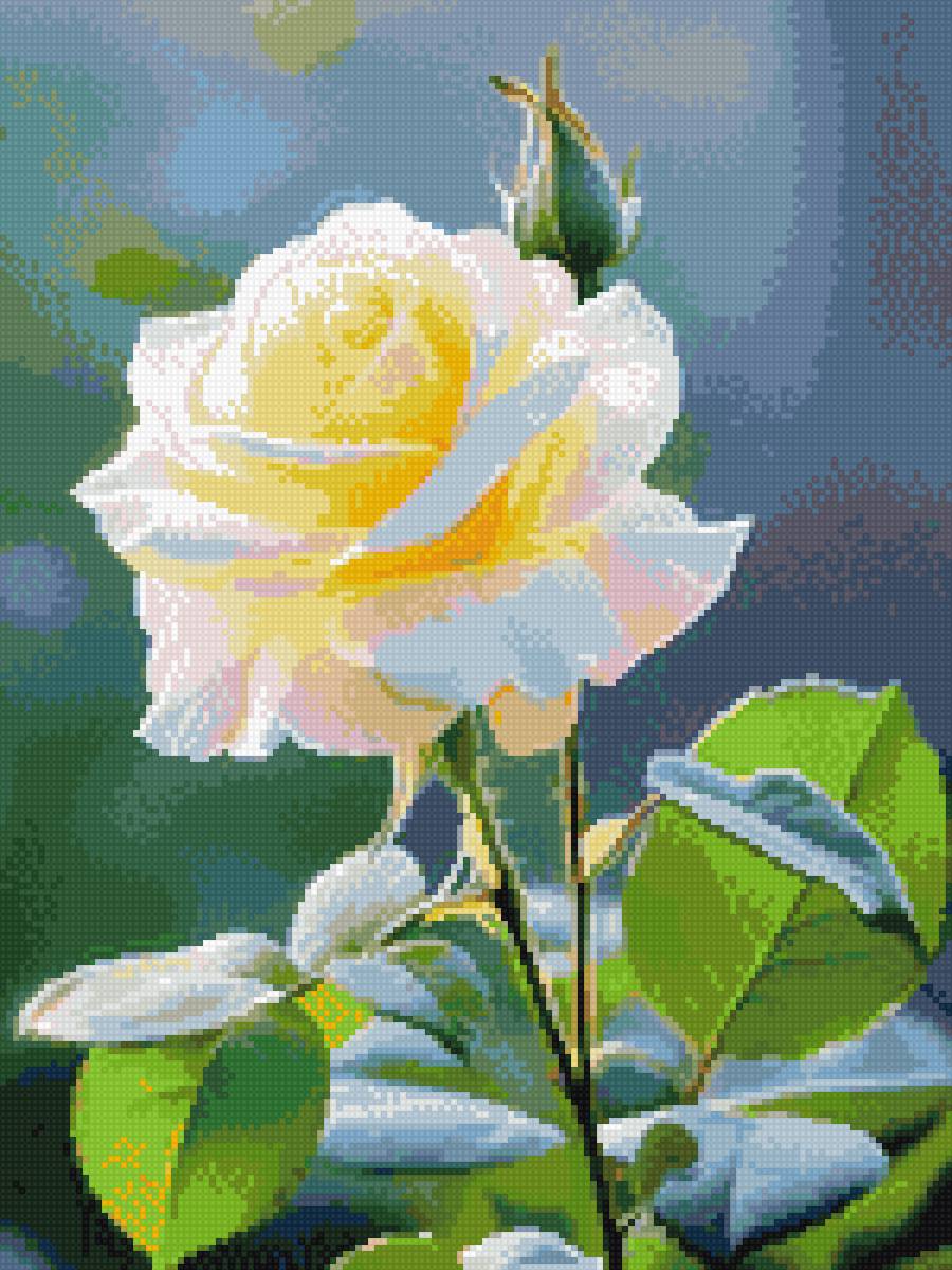 Роза - розы, цветы - предпросмотр