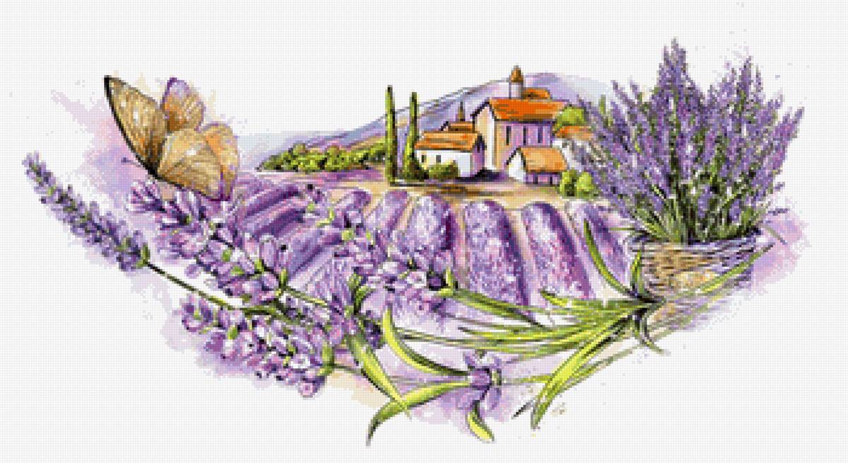 Лавандовое поле - лаванда, цветы, прованс, поле, лето - предпросмотр