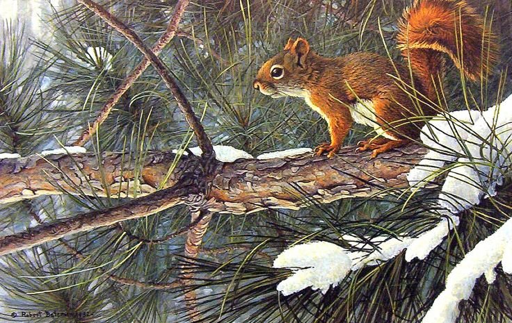 Белочка. Роберт Бейтман - художники - оригинал