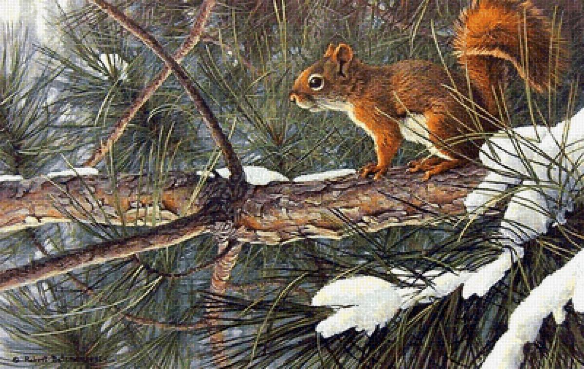 Белочка. Роберт Бейтман - художники - предпросмотр