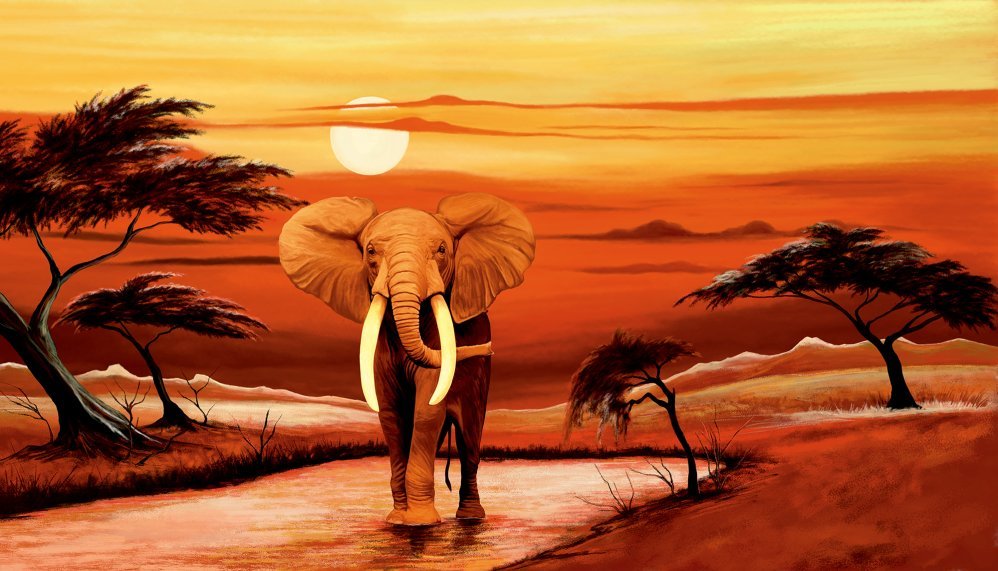 Закат в саванне - слон, небо, дородка, солнце, африка, песок, закат - оригинал