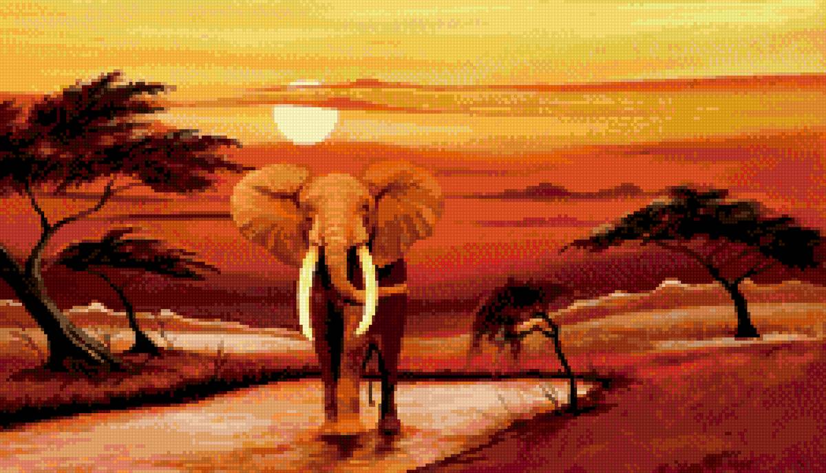 Закат в саванне - африка, закат, дородка, песок, небо, слон, солнце - предпросмотр