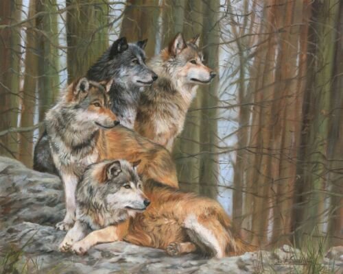 Стая. Дэвид Стрибблинг - художники - оригинал