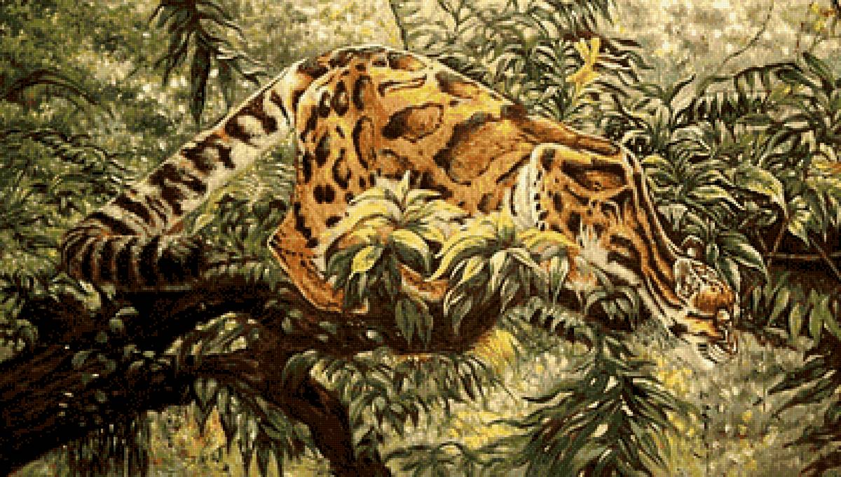 Дымчатый леопард. Бруно Тина Августо - художники - предпросмотр