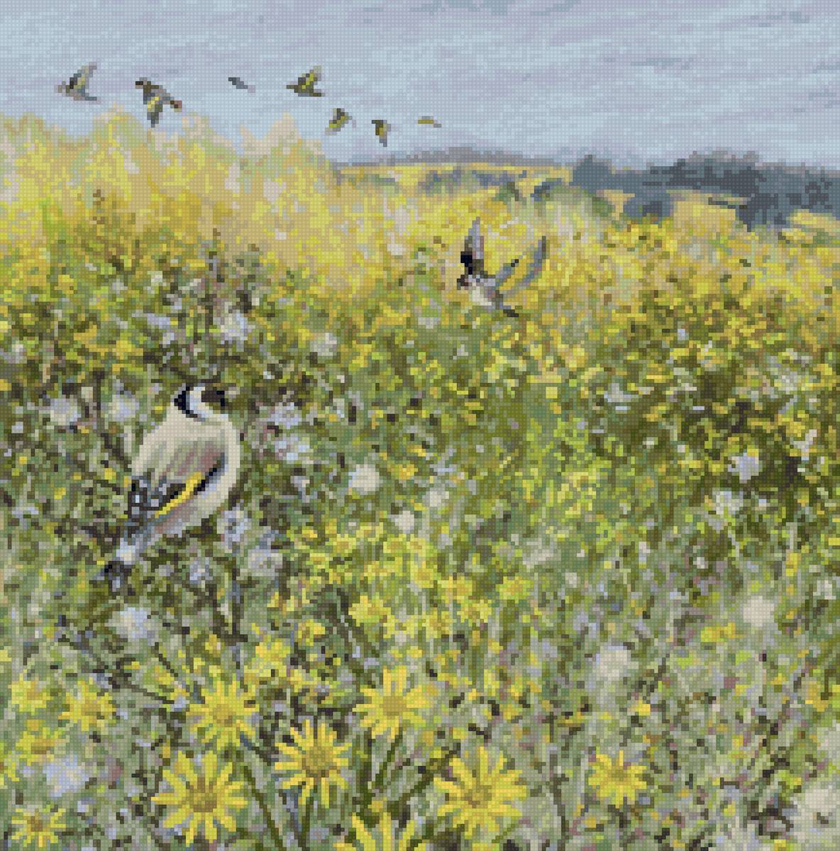 Люси гроссмит - лето природа поле цветы птицы - предпросмотр