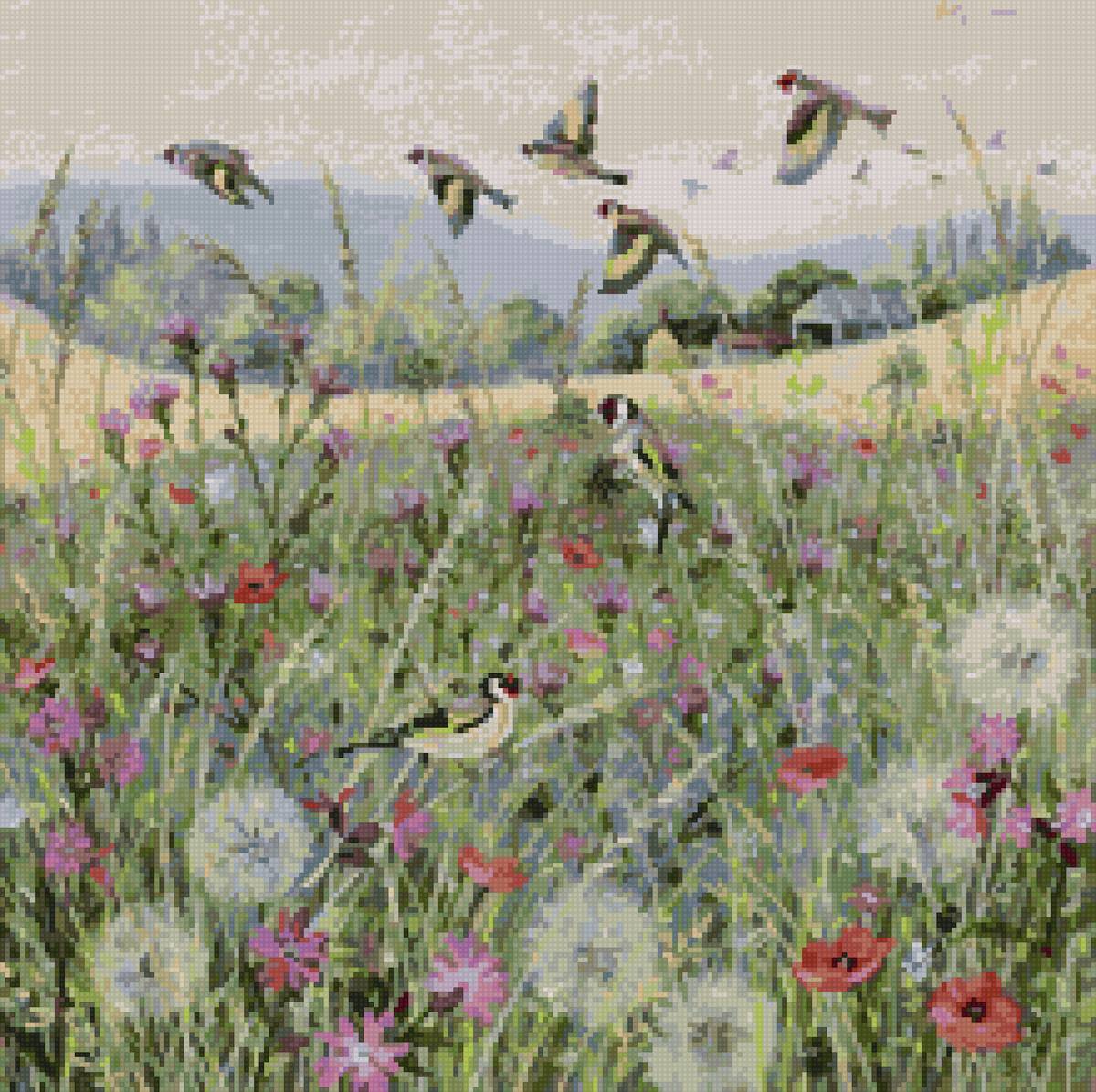 Люси гроссмит - лето птицы поле цветы природа - предпросмотр