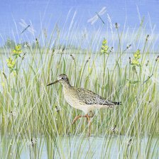 Схема вышивки «Люси гроссмит»