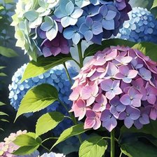 Схема вышивки «Гортензия»