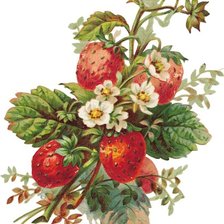 Схема вышивки «Клубничка»