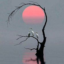 Схема вышивки «№2898057»