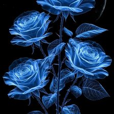 Схема вышивки «№2898693»