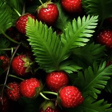 Схема вышивки «Клубничка»