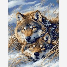 Схема вышивки «pareja de lobos»