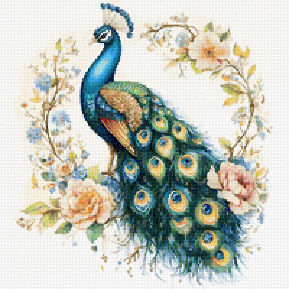 aves - pavo real - предпросмотр