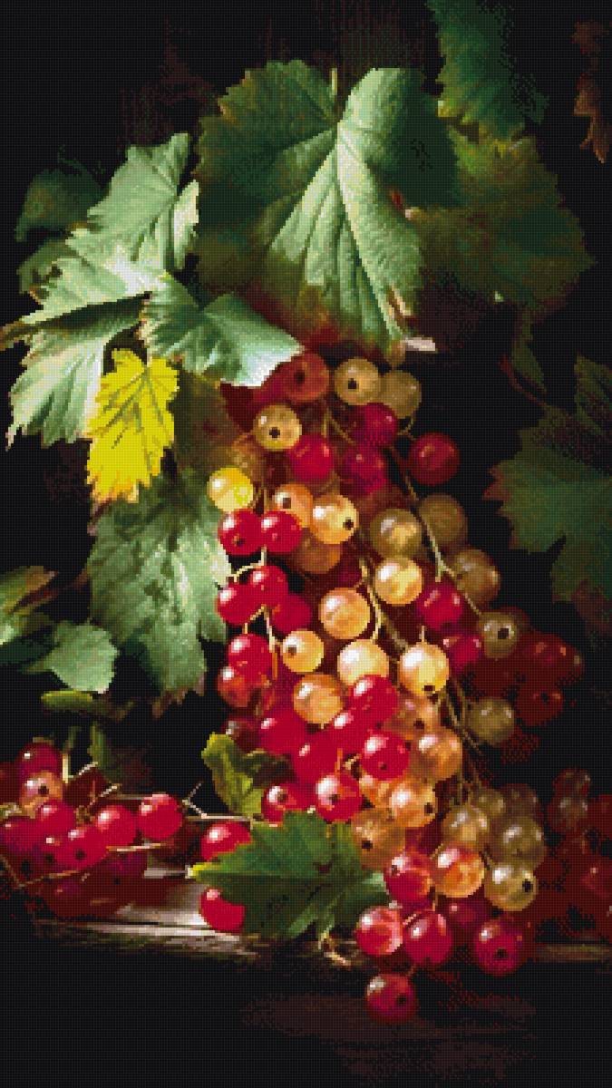 Смородина - предпросмотр