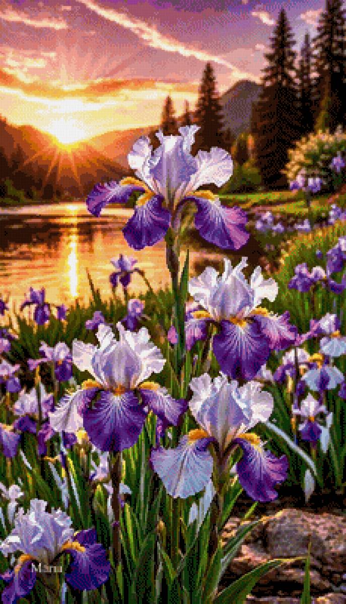 Цветы - ирисы - предпросмотр