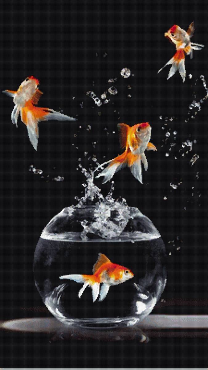 Золотые Рыбки - предпросмотр
