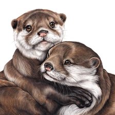 Схема вышивки «Petites loutres»