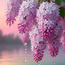 Схема вышивки «Сирень»