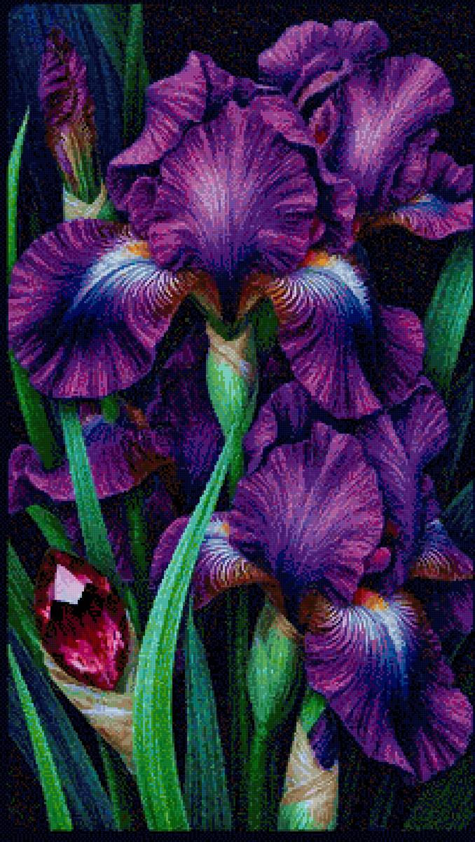 Цветы - ирисы - предпросмотр