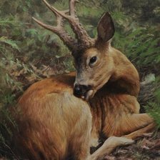 Схема вышивки «CORZO»