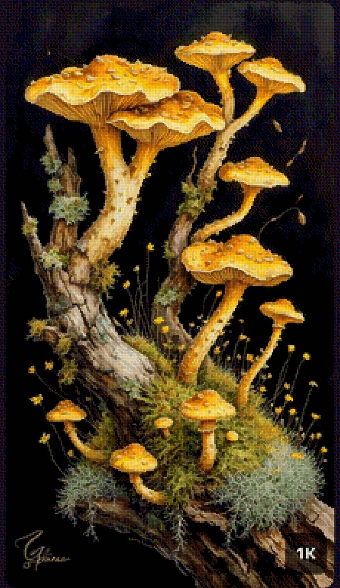 Природа - грибы - предпросмотр