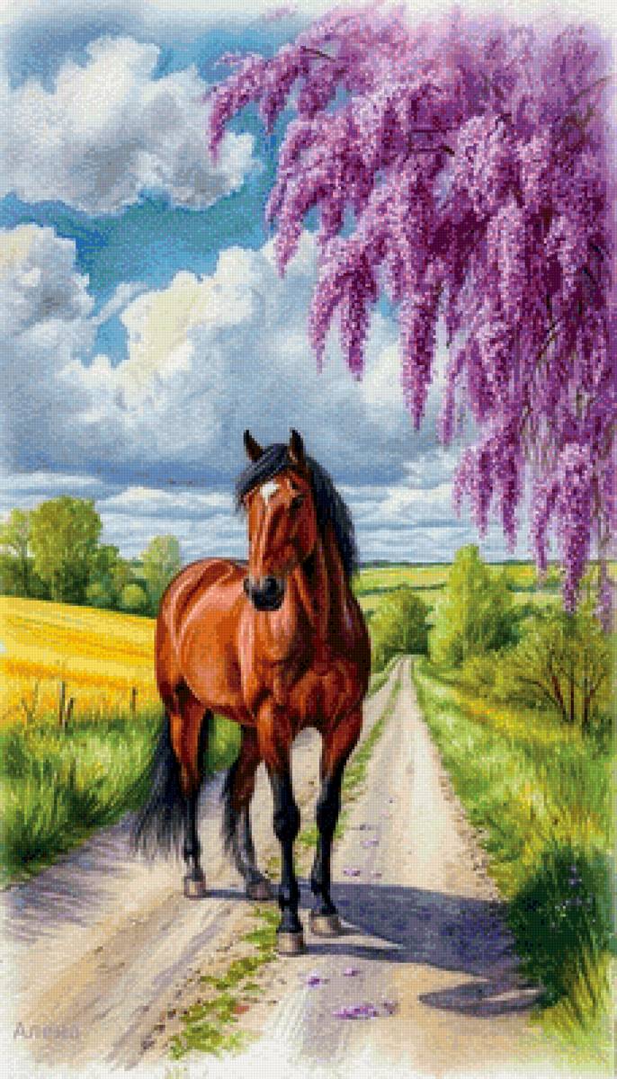 №2902003 - предпросмотр