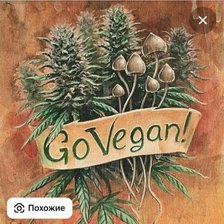 Схема вышивки «Растения»