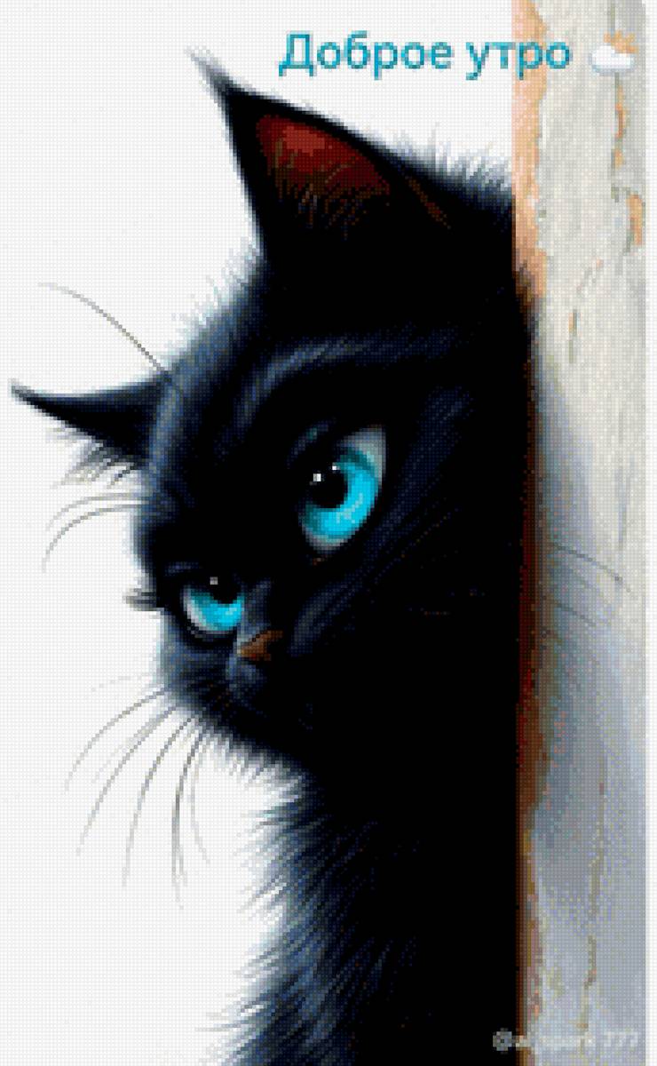 синие  глаза - предпросмотр